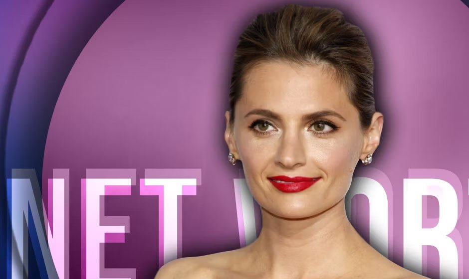 Stana-Katic’s-Net-Worth