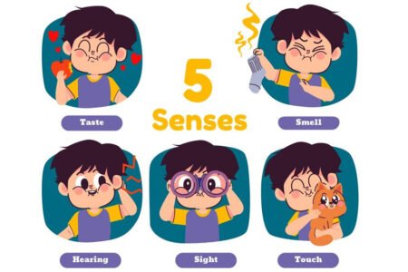 Exploring-the-5-Senses-for-Kids