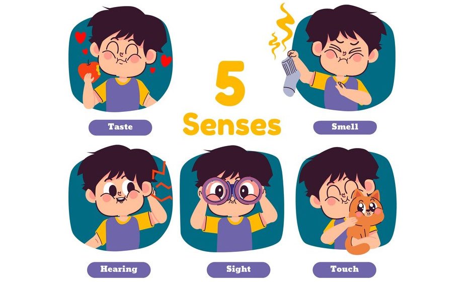 Exploring-the-5-Senses-for-Kids