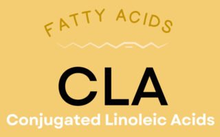 How CLA (Conjugated Linoleic Acid) Supplements Help with Fat Loss