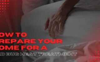 How to Prepare Your Home for a Bed Bug Heat Treatment