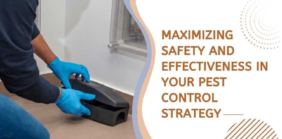 Maximizing Safety and Effectiveness in Your Pest Control Strategy