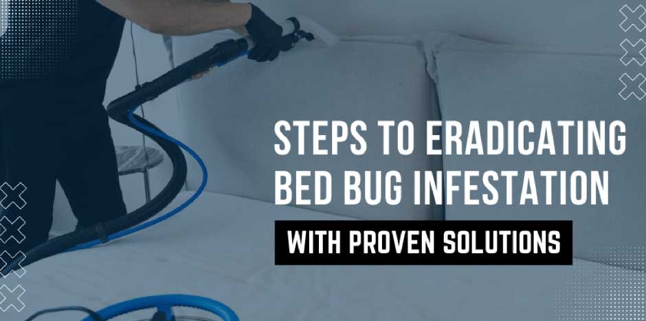 Steps-to-Eradicating-Bed-Bug-Infestation-with-Proven-Solutions