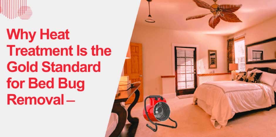 Why Bed Bugs Are More Active in the Fall and How to Stay Protected